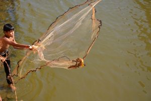 Amid Drought and Flooding, Cambodian Fish Catches, Exports Fall Precipitously