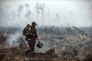 Southeast Asia’s Imperiled Biodiversity