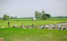 India&#8217;s New Farm Laws: Reform, Resistance, and the Road to Reconciliation