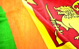 Sri Lanka Halts Debt Repayment Pending IMF Bailout Plan