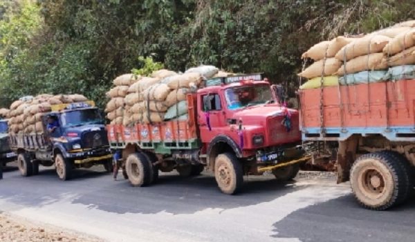 Illegal Areca Nut Trade Triggers High-Level Probe in India – The 