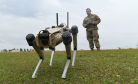 Robot Dogs to Have Their Day &#8212; on Florida Base