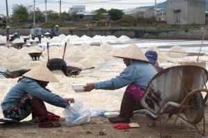 Harvesting White Gold: Vietnam Salt Farmers Amid Climate Change and COVID-19