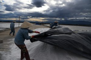 Harvesting White Gold: Vietnam Salt Farmers Amid Climate Change and COVID-19