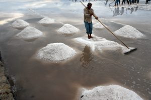 Harvesting White Gold: Vietnam Salt Farmers Amid Climate Change and COVID-19
