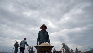 Harvesting White Gold: Vietnam Salt Farmers Amid Climate Change and COVID-19