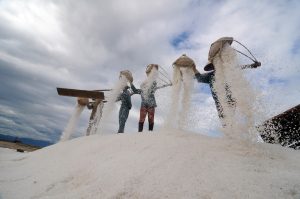 Harvesting White Gold: Vietnam Salt Farmers Amid Climate Change and COVID-19