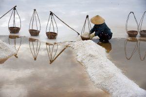Harvesting White Gold: Vietnam Salt Farmers Amid Climate Change and COVID-19