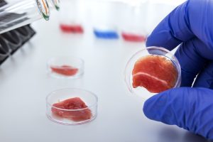 What Cultured Meat Can Tell Us About China