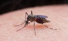 How Papua New Guinea Can Eliminate Vector-Borne Diseases