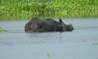 The Brahmaputra’s Raging Waters Wreak Havoc in Assam