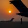 The Afghan Interpreters Turkey Left Behind The Afghan Interpreters Turkey Left Behind
