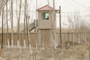 Darren Byler on Life in Xinjiang, &#8216;China&#8217;s High-Tech Penal Colony&#8217;