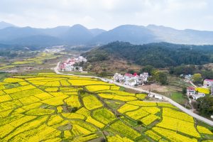 China&#8217;s Evolving Food Security Strategy