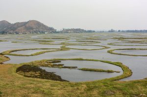 Loktak Lake: The Human and Environmental Costs of Hydropower