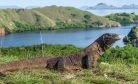 Development and Conservation Clash at Indonesia&#8217;s Komodo National Park