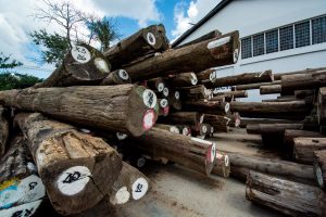 سازمان دیده بان: صادرات چوب ساج میانمار به آمریکا با وجود تحریم ها ادامه دارد