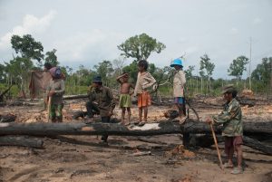 Rampant Logging Threatens Cambodia’s Indigenous Communities: Rights Group