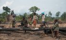 Rampant Logging Threatens Cambodia’s Indigenous Communities: Rights Group