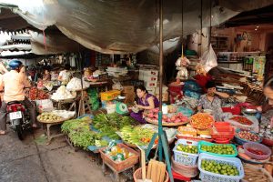 Addressing the Southeast Asian Food Security Vulnerabilities Exposed by COVID-19