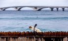 Seeking Higher Ground: Climate Resilience in the Maldives