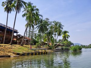 Hydropower Dams Threaten Crucial Mekong Supply Chains, WWF Says
