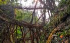 Meghalaya’s Living Root Bridges are Headed for Global Recognition