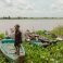 The Precarious State of the Mekong