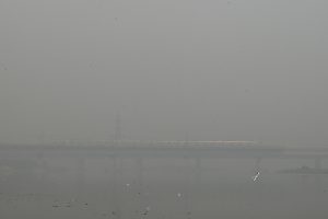 Delhi Battles Dangerous Levels of Air Pollution