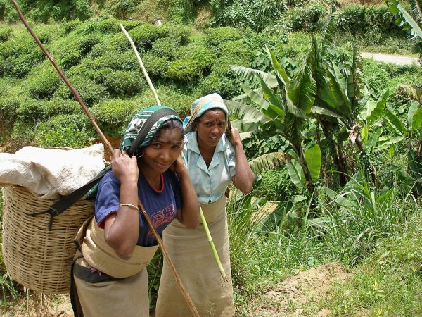 Sri Lanka Krizi Yumuşatmak İçin Bütçedeki Vergileri Arttırmayı Hedefliyor – Diplomat