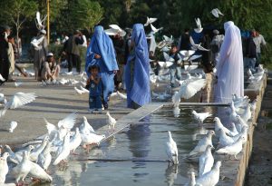 Taliban to Allow High School Graduation Exams for Afghan Girls