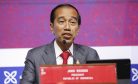 Indonesia Stirs the Pot on WTO Reforms