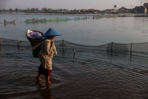 Indonesia’s Drowning Land Indonesia’s Drowning Land
