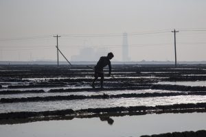 Bangladeshi Fishers and Farmers at the Frontline of Climate Change Bangladeshi Fishers and Farmers at the Frontline of Climate Change