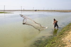 Bangladeshi Fishers and Farmers at the Frontline of Climate Change Bangladeshi Fishers and Farmers at the Frontline of Climate Change