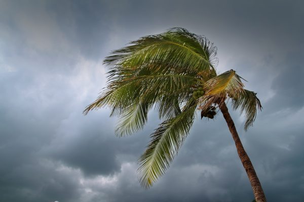 NASA sees Tropical Cyclone Donna blanket Vanuatu