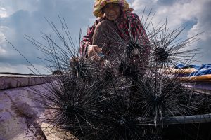 Bajau: The Vanishing Seafarers of Southeast Asia Bajau: The Vanishing Seafarers of Southeast Asia