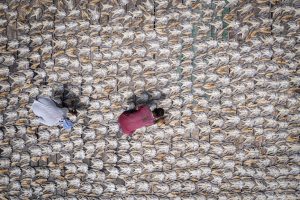 Bajau: The Vanishing Seafarers of Southeast Asia Bajau: The Vanishing Seafarers of Southeast Asia