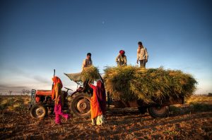 Heat and Debt: Climate Change and Poverty in Rural South Asia