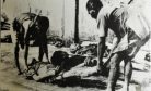 Remembering Vietnam’s Great Famine