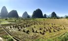 What Is the Impact of China’s New Rural Initiative?