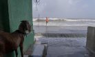 Thousands Evacuated in India and Pakistan as Cyclone Biparjoy Approaches