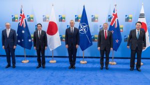 China’s NATO Anxiety