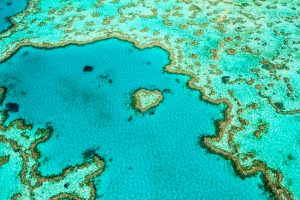 Australia Welcomes Lifting of UNESCO Threat to List Great Barrier Reef as World Heritage in Danger