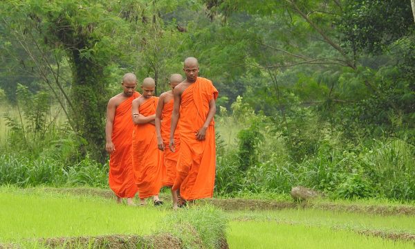 Sri Lankans Are Positive About Religious Diversity, Says Pew Survey
