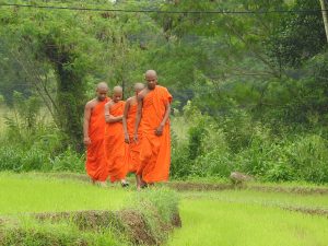 Sri Lankans Are Positive About Religious Diversity, Says Pew Survey