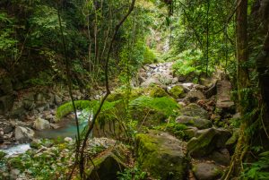 Environment&shy;alists Under Attack in the Philippines