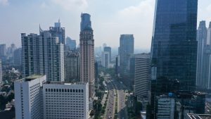 The De-risking State in Southeast Asia