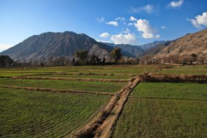 The Qosh Tepa Canal: A Source of Hope in Afghanistan 