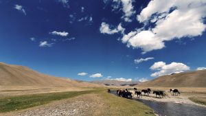 Central Asia’s Water Crisis Is Already Here